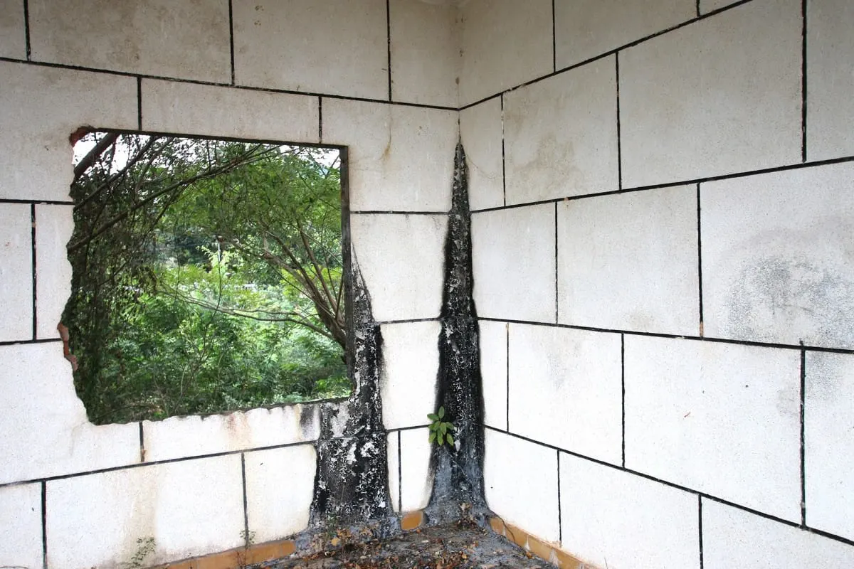 Stained white-block interior wall with a broken window onto greenery, Kep villa.
