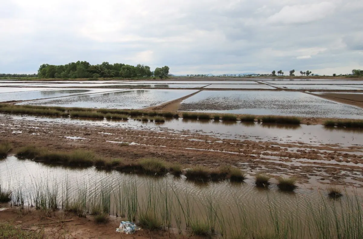 Flooded salt fields and grassy dikes under a cloudy sky near Kep.