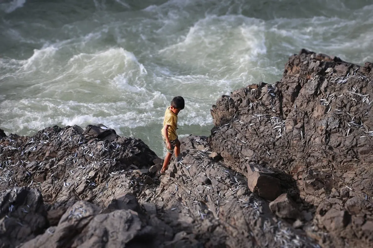 A boy on rocks covered with drying fish above the Li Phi rapids, Don Khon.