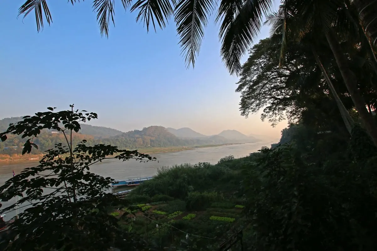 Dawn over the Mekong and hills, framed by palm fronds, Luang Prabang