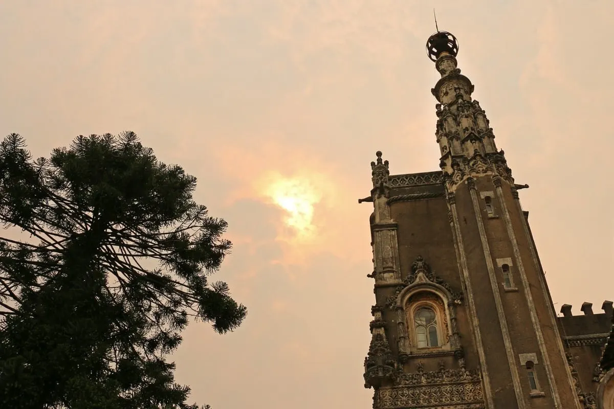 Bussaco Palace tower and araucaria tree against a smoke-hazed sun