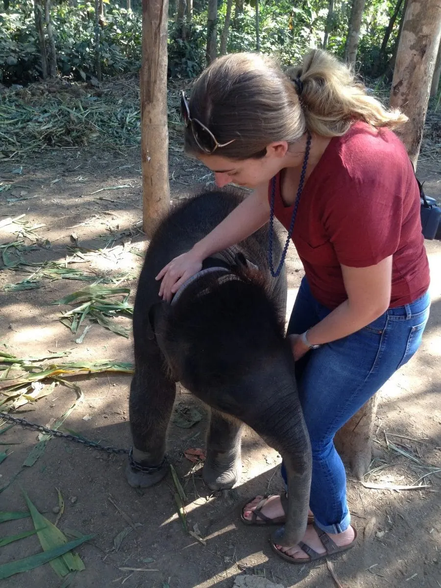 A woman petting a baby elephant at Chai Lai Orchid.