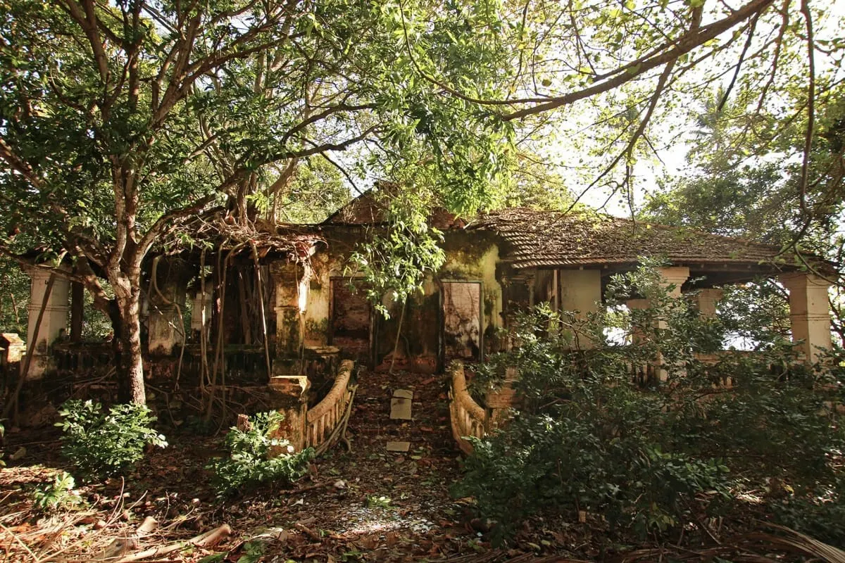 Abandoned colonial-era house overgrown by trees on Con Dao