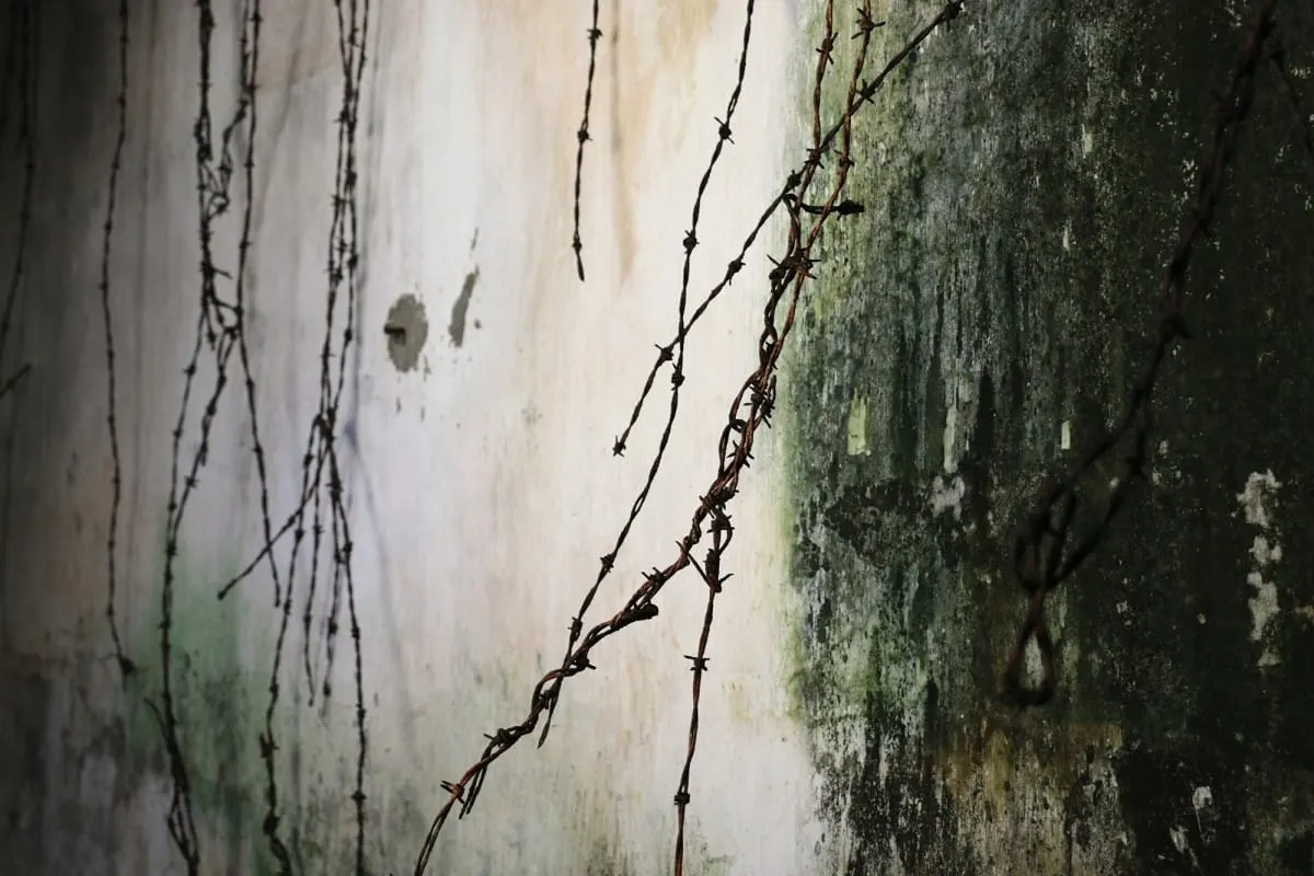 Rusted barbed wire hanging against a mossy prison wall, Con Dao